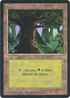 Forest (C) (FBB-285) - Foreign Black Border
