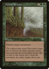 Desert Twister (MMQ-243) - Mercadian Masques Foil