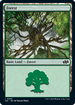 Forest (0095) (J25-095) - Foundations Jumpstart