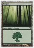 Forest (Spanish) - "Bosque" (I60) (PSAL-I60) - Salvat 2005