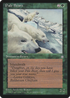 Pale Bears (ICE-) - Ice Age