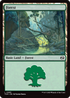 Forest (0285) (TDM-285) - Tarkir: Dragonstorm