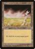 Plains (Bird) (MIR-) - Mirage