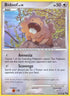 Bidoof  POP Series 6 - Common
