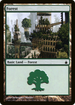 Forest (304) (RAV-304) - Ravnica: City of Guilds Foil
