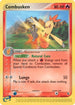 Combusken (28/109) [Ruby and Sapphire] - Uncommon