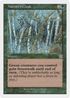 Nature's Cloak (S99-135) - Starter 1999