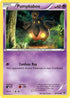 Pumpkaboo (056/146) Reverse Holofoil [XY Base Set] - Common