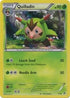Quilladin  Kalos Starter Set - Common