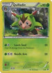 Quilladin  Kalos Starter Set - Common