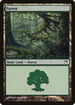 Forest (306) (CHK-306) - Champions of Kamigawa Foil