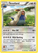 Stoutland  XY Base Set - Rare