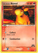 Team Magma's Numel  Team Magma vs Team Aqua - Common
