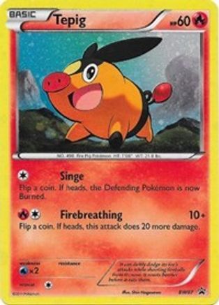 Tepig (BW07/101) Holofoil [Black and White Promos] - Promo