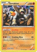 Terrakion - BW71 (BW71/101) Holofoil [Black and White Promos] - Promo
