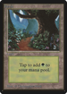 Forest (B) (LEB-) - Limited Edition Beta