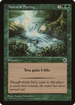 Natural Spring (POR-) - Portal