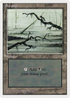 Swamp (C) (SUM-300) - Summer Magic / Edgar