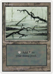 Swamp (C) (SUM-300) - Summer Magic / Edgar