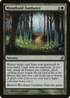 Woodland Guidance (LRW-243) - Lorwyn