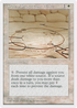 Circle of Protection: White (4ED-) - Fourth Edition