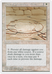 Circle of Protection: White (4ED-) - Fourth Edition