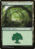 Forest (262) (KLD-262) - Kaladesh Foil