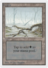 Swamp (A) (2ED-) - Unlimited Edition