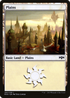 Plains (RNA-260) - Ravnica Allegiance