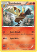 Combusken (27/160) Reverse Holofoil [Primal Clash] - Uncommon