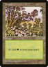 Forest (Red Tree Leaves) (MIR-) - Mirage