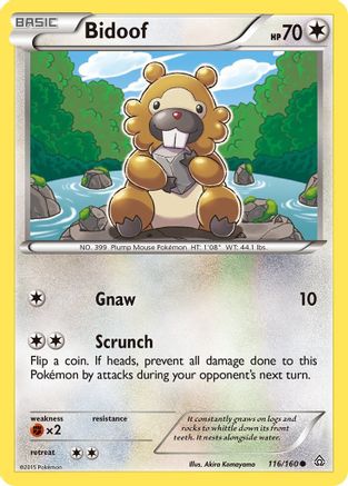 Bidoof (116/160) [Primal Clash] - Common