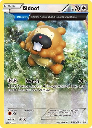 Bidoof (Alpha) (117/160) [Primal Clash] - Uncommon