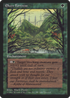 Elven Fortress (Poole) (FEM-) - Fallen Empires