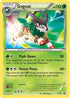 Gogoat - XY16 (XY16/211) Holofoil [XY Promos] - Promo
