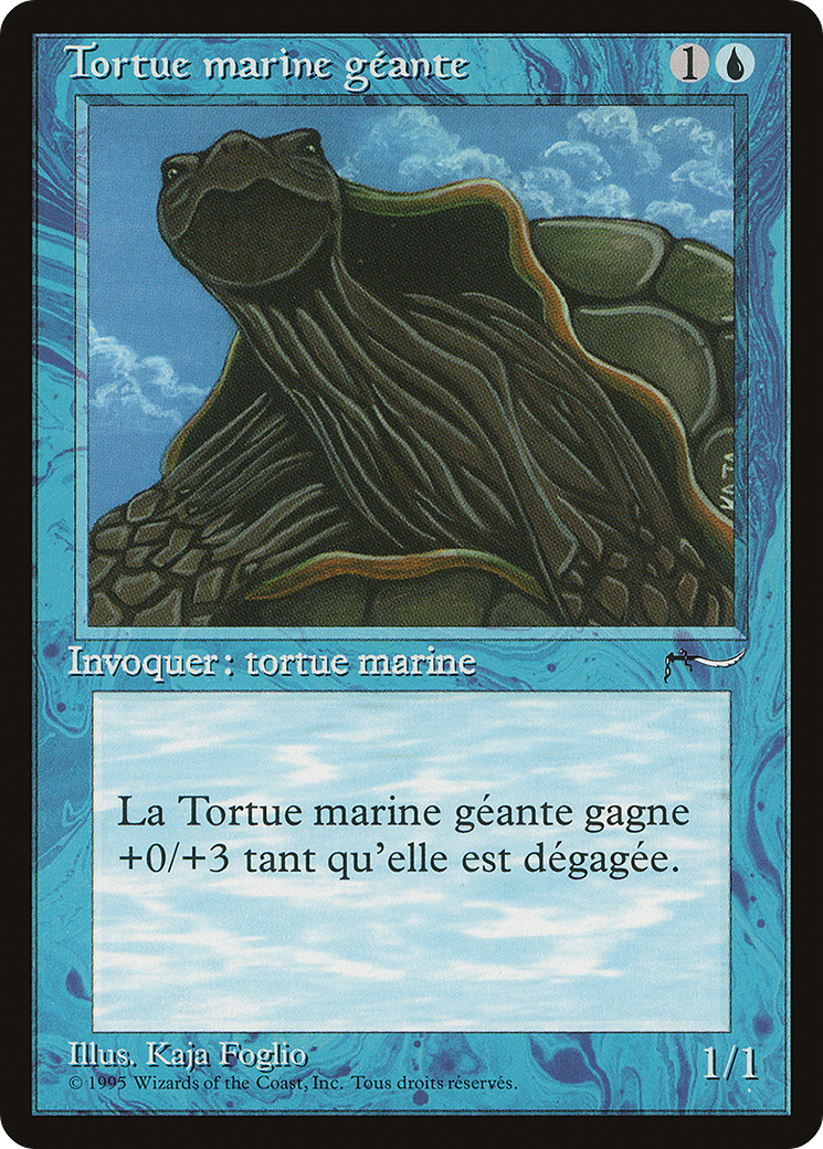 Giant Tortoise (French) - 