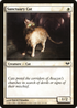 Sanctuary Cat (DKA-019) - Dark Ascension Foil