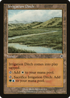 Irrigation Ditch (INV-324) - Invasion