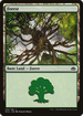 Forest (155) (PCA-155) - Planechase Anthology