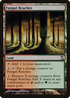 Fungal Reaches (TSP-273) - Time Spiral Foil