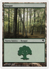 Forest (Spanish) - "Bosque" (I48) (PSAL-I48) - Salvat 2005