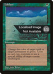 Lifelace (4BB-) - Fourth Edition Foreign Black Border
