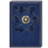 Disney Lorcana: Notebook