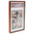EVORETRO Magnetic Case for PSA Graded Cards - Orange
