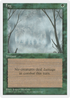 Fog (4ED-) - Fourth Edition
