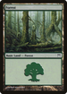 Forest (303) (CHK-303) - Champions of Kamigawa