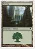 Forest (Italian) - "Foresta" (L12) (PSAL-L12) - Salvat 2005