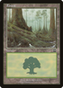 Forest (348) (MMQ-348) - Mercadian Masques Foil