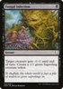 Fungal Infection (DOM-094) - Dominaria