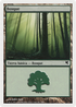 Forest (Spanish) - "Bosque" (B9) (PSAL-0B9) - Salvat 2005